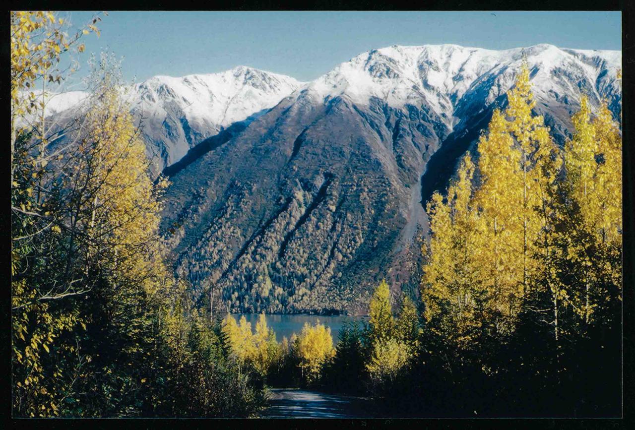 Alaska'S Kenai Jim'S Lodge & Guide Service Soldotna Dış mekan fotoğraf